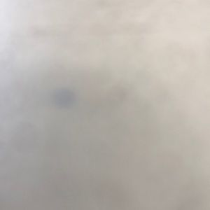 Meet your Posher, Chad